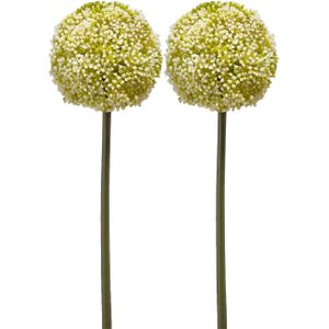 Allium/Sierui kunstbloem - 2x - losse steel - wit/groen - 75 cm - Natuurlijke uitstraling - Kunstbloemen