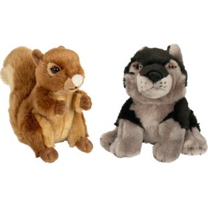 Bosdieren zachte pluche knuffels 2x stuks - Eekhoorn en Grijze Wolf van 18 cm - Knuffeldier