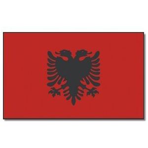 Landen thema vlag Albanie 90 x 150 cm feestversiering - Vlaggen