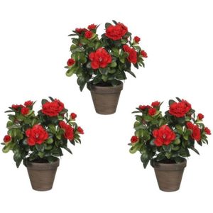 Set van 3x stuks groene Azalea kunstplanten rode bloemen 27 cm in pot stan grey - Kunstplanten/nepplanten