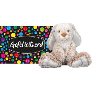 Pluche knuffel cadeau Konijn 25 cm met A5-size Gefeliciteerd wenskaart - Knuffel huisdieren