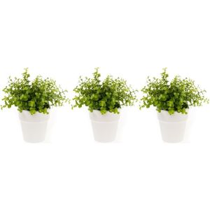 Set van 3x stuks kunstplant eucalyptus groen in pot 22 cm - Kamerplanten/kantoorplanten groene eucalyptus