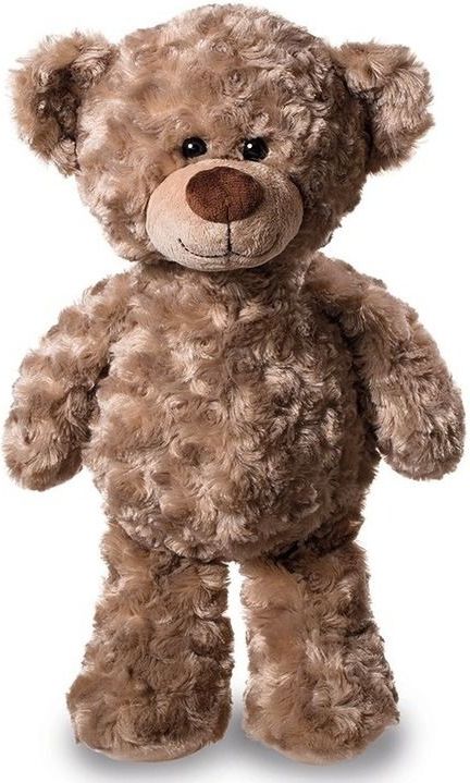 Roestig Verhoogd Vrouw Super nurse/ zuster pluche teddybeer knuffel 24 cm wit t-shirt -  Knuffelberen kopen? | beslist.nl