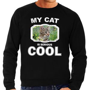 Bruine kat katten sweater / trui my cat is serious cool zwart voor heren - Sweaters