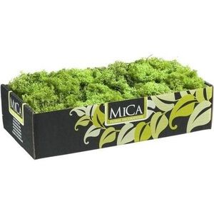 Hobby natuurlijk mos groen 500 gram - Decoratief object
