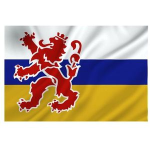 Provincie Limburg vlag 100 x 150 cm - Vlaggen