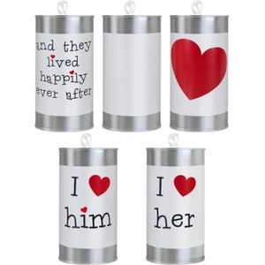 Trouwauto blikjes Klassiek - Bruiloft - zilver - set 5x stuks - 14 x 7 cm - just married - Feestdecoratievoorwerp