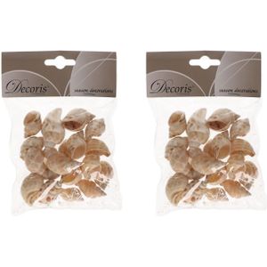 Decoratie schelpen/schelpjes zeeslak/strombus canarium 3/4 cm - Maritiem/strand thema woondecoratie