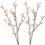 Appelbloesem kunsttak - 2x - roze - 85 cm - takken - kunstbloemen - kunstbloemen - Kunstbloemen