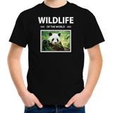Panda t-shirt met dieren foto wildlife of the world zwart voor kinderen - T-shirts