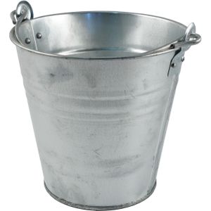 Sorex zinken emmer/bloempot/plantenpot - 10 liter - Tuindecoratie - Bloememmer - Plantenpotten