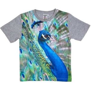 Dieren shirts met fotoprint van pauw voor kinderen - T-shirts