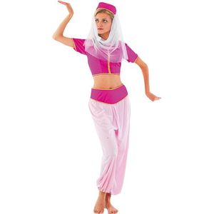Voordelig roze 1001 nacht kostuum voor dames - Carnavalsjurken