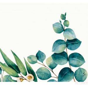 Design servetten Eucalyptus - 20x - wit/groen - 33 x 33 cm - Feestservetten