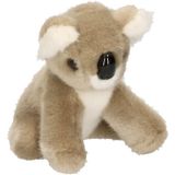 Pluche knuffel baby koala 13 cm