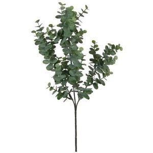 Eucalyptus kunsttak grijs/groen 65 cm - Kunstbloemen