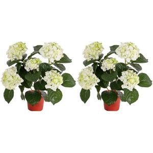 2x Kunstplant hortensia plant wit/groen 36 cm - Kunstplanten/nepplanten