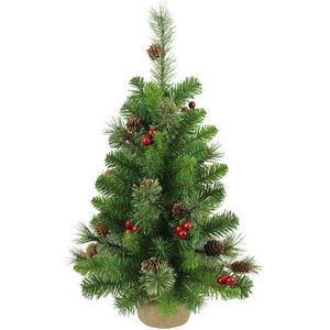 aanvaardbaar Rauw Conceit Kleine Kerstboom kopen? Mini Kerstbomen online | beslist.nl