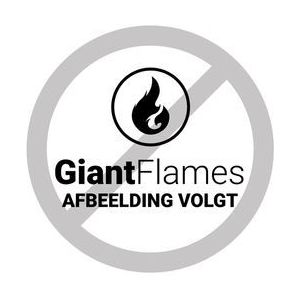 Giant Flames Lampenolie 1l