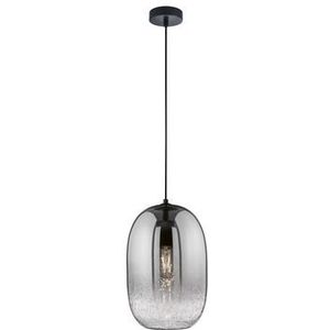 Fischer & Honsel Hanglamp Gerookt Glas ⌀25cm E27 60w