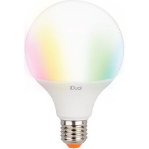 Idual Ledlamp G100 E27 12w | Slimme verlichting