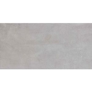 Wand- En Vloertegel Grunge - Keramiek - Lichtgrijs - 30x60cm - Pakketinhoud 1,44m² | Vloertegels