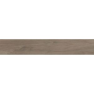 Wand- En Vloertegel Great Wood Amber - Keramiek - Houtlook - 20x120cm - Pakketinhoud 0,96m² | Vloertegels