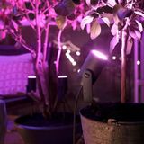 Philips Hue Lily prikspot White and Color uitbreiding