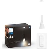 Philips Hue Hanglamp Explore Wit ⌀18,1cm E27 6w Met Hue Dimmer Switch