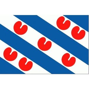 Vlag Van De Provincie Friesland 40x60cm