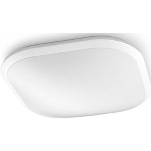 Philips Plafondlamp Led Cavanal Koelwit 19w