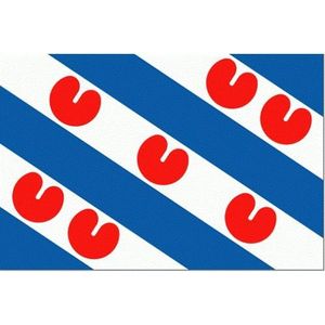 Vlag Van De Provincie Friesland 100x150cm