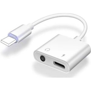 Carpoint 2 In 1 Adapter Lightning > Aux & Lightning