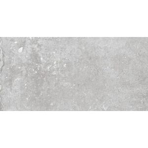 Sphinx Tegels Earth tegel 60x120cm - Storm Grey
