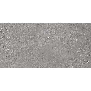 Rako  Tegel 30 x 60 cm - Mat grijs - Keramiek - Rechthoekig - 6 stuks - 1,08 m2 - Betonlook - Vloertegels - Wandtegels - Tegels - DAKSE791