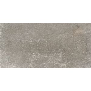 Floorgres  Tegel 60 x 120 cm - Grijs - Porcellanato - Rechthoekig - 2 stuks - 1,44 m2 - Natuursteenlook - Vloertegels - Wandtegels - Tegels - 761174