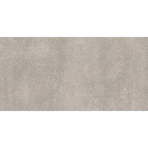 Rak  Tegel 60 x 120 cm - Grey - Keramiek - Rechthoekig - 2 stuks - 1,44 m2 - Betonlook,Natuursteenlook - Vloertegels - Wandtegels - Tegels - A12GPAEO-GRY.A0X5R