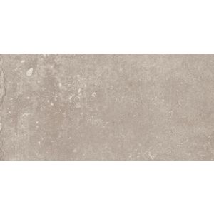 Sphinx Tegels Earth tegel 50x100cm - Warm Taupe