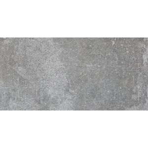 Sphinx Tegels Stone tegel 30x60 Grey