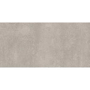 Rak Paleo tegel 30x60cm - Grey