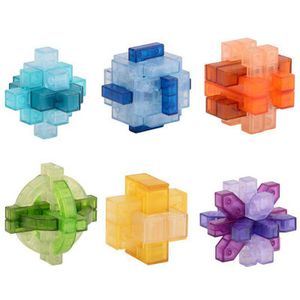 3D Breinpuzzel Transparant Kleur