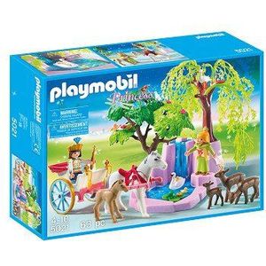 Playmobil Prins en prinses met Koets en Waterval - 5021