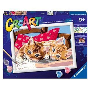CreArt Schilderen op Nummer - Twee Knuffelige Katten