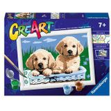 CreArt Schilderen op Nummer - Schattige Puppies
