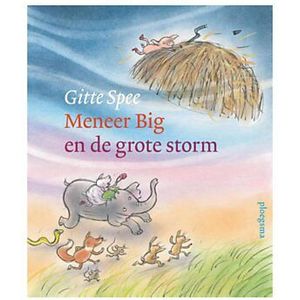 Meneer Big en de grote storm