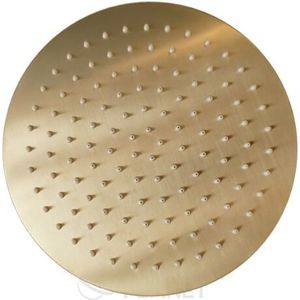 Douchekop Rond Goud 25 cm