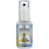 Lichtwesen Scheppingsstraal tinctuur magenta 75  30 ml |