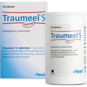 Heel Traumeel S  250 tabletten