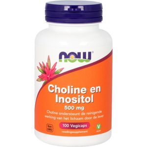 NOW Choline en inositol 500mg  100 Vegetarische capsules