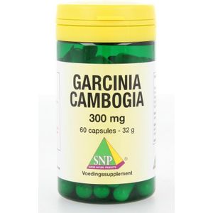SNP Garcinia cambogia 300 mg  60 capsules